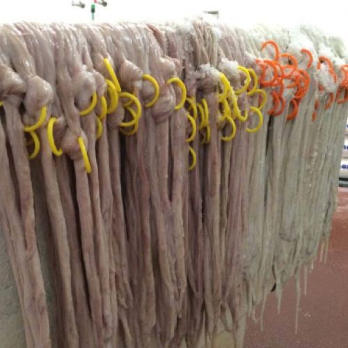 proceso de elaboración tripas para embutidos5