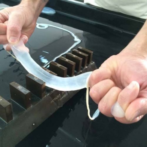 proceso de elaboración tripas para embutidos2