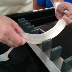 Experiència familiar en l'elaboració de budell natural