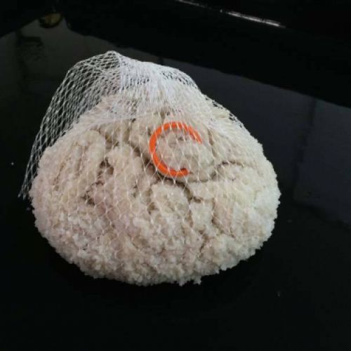 tripas naturales para embutidos en caldes de monbui6