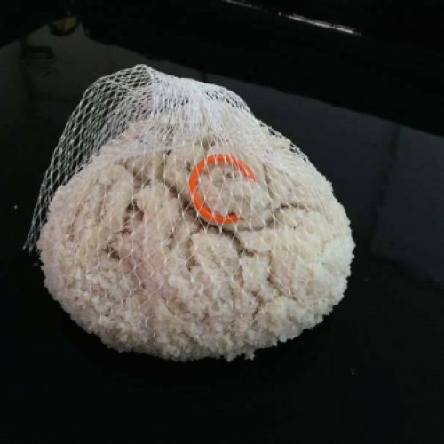 tripas naturales para embutidos en caldes de monbui6