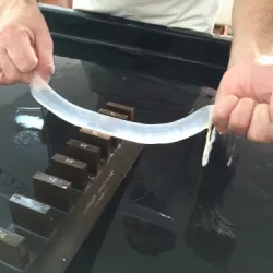 Procés artesanal en l'elaboració de budell natural