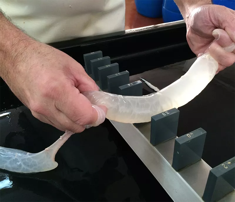 Continuidad generacional en la elaboración de tripa natural para embutidos